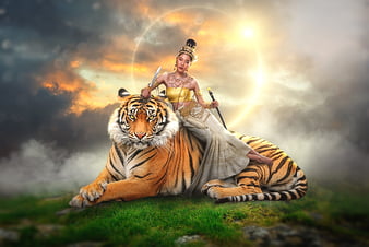 Page 8 | HD tigru wallpapers | Peakpx Page 8 | HD tigru wallpapers | Peakpx