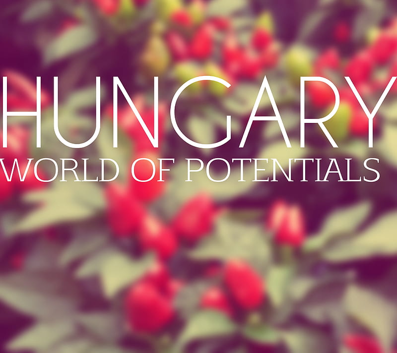 hungary design, hongrie, magyarorszag, potential, ungarn, world, HD wallpaper