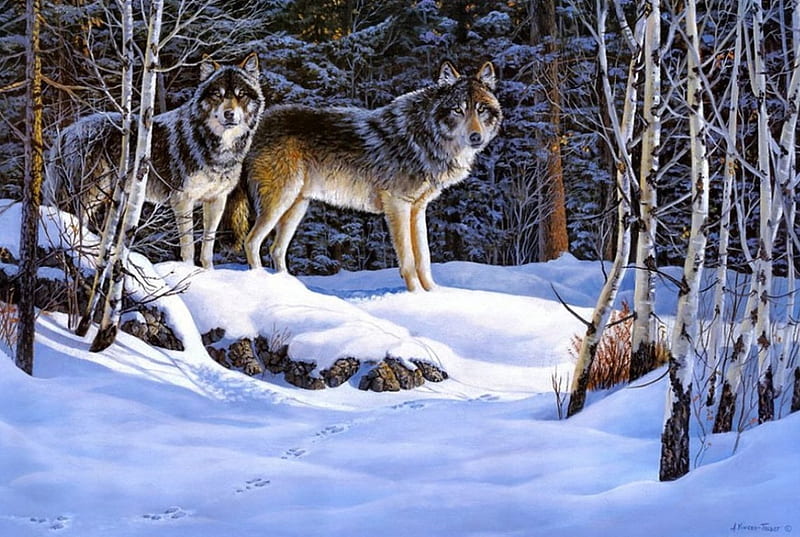 Nomads, forest, predators, snow, painting, trees, wolves, artwork, winter, HD wallpaper