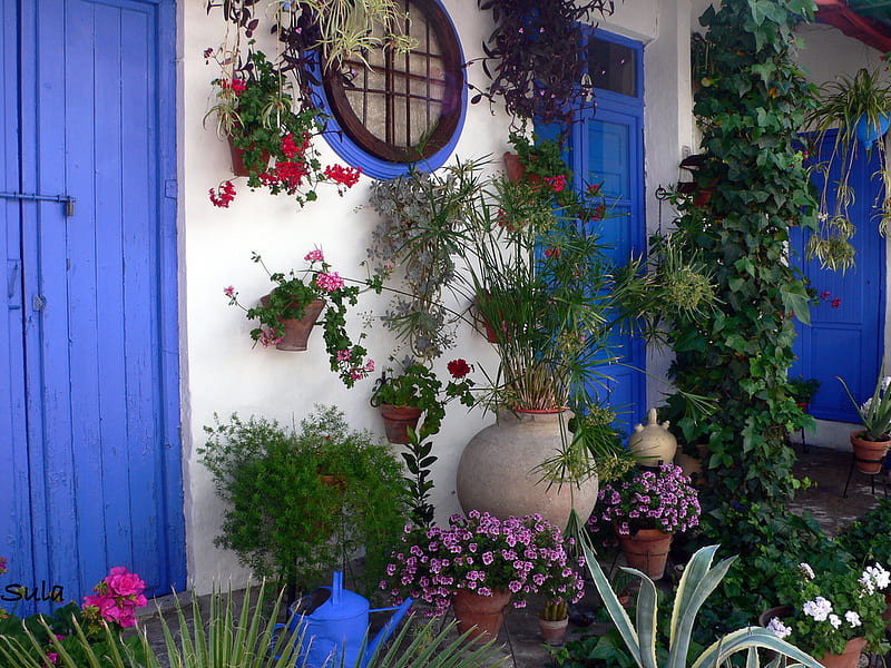 blue door, pot flowers, house, bonito, round window, fulcolours, HD wallpaper