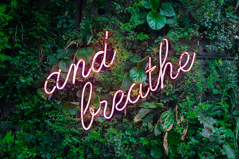and breathe neon sign on tre, HD wallpaper