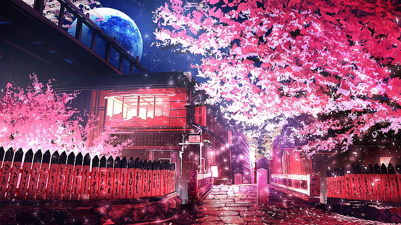 Pink Night, art, sakura, japan, japanese, orginal, street, night, cherry blossom, HD wallpaper