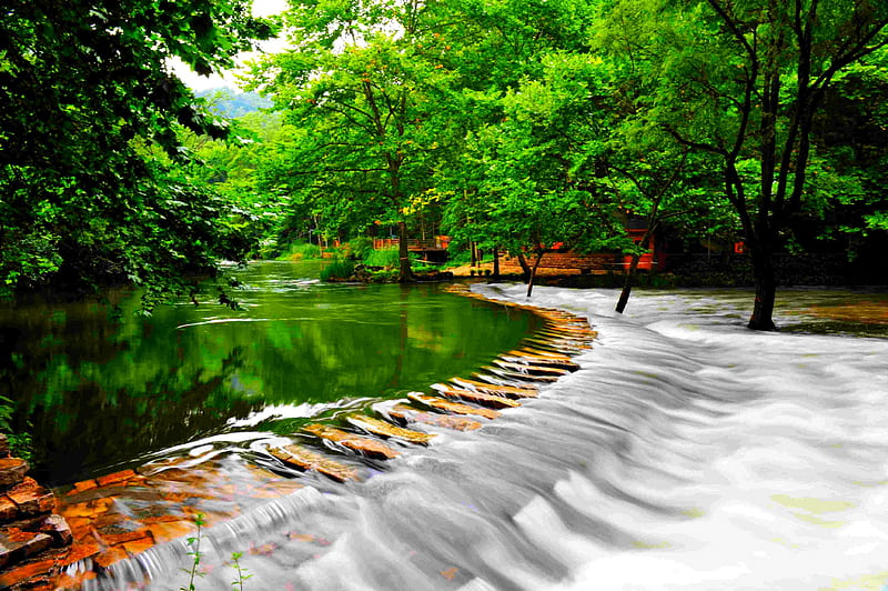 OVER FLOW, pond, overflow, water, park, trees, HD wallpaper