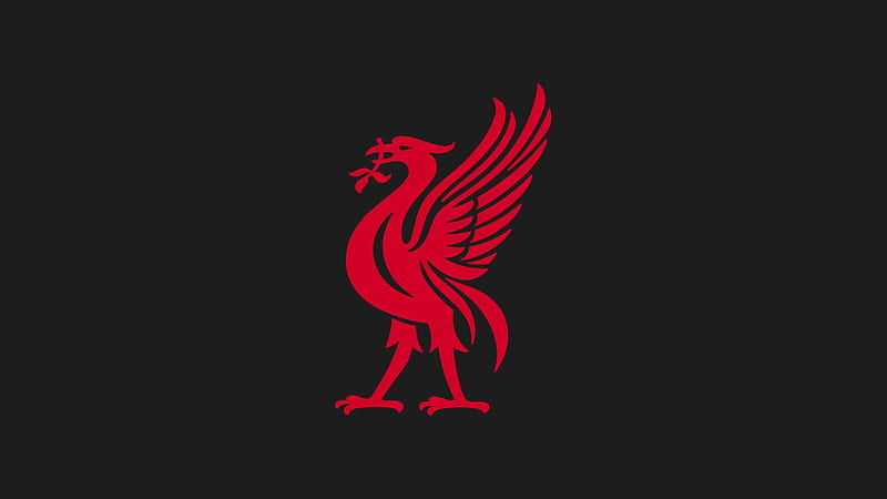 Crest Emblem Logo Soccer Symbol Liverpool , HD wallpaper | Peakpx