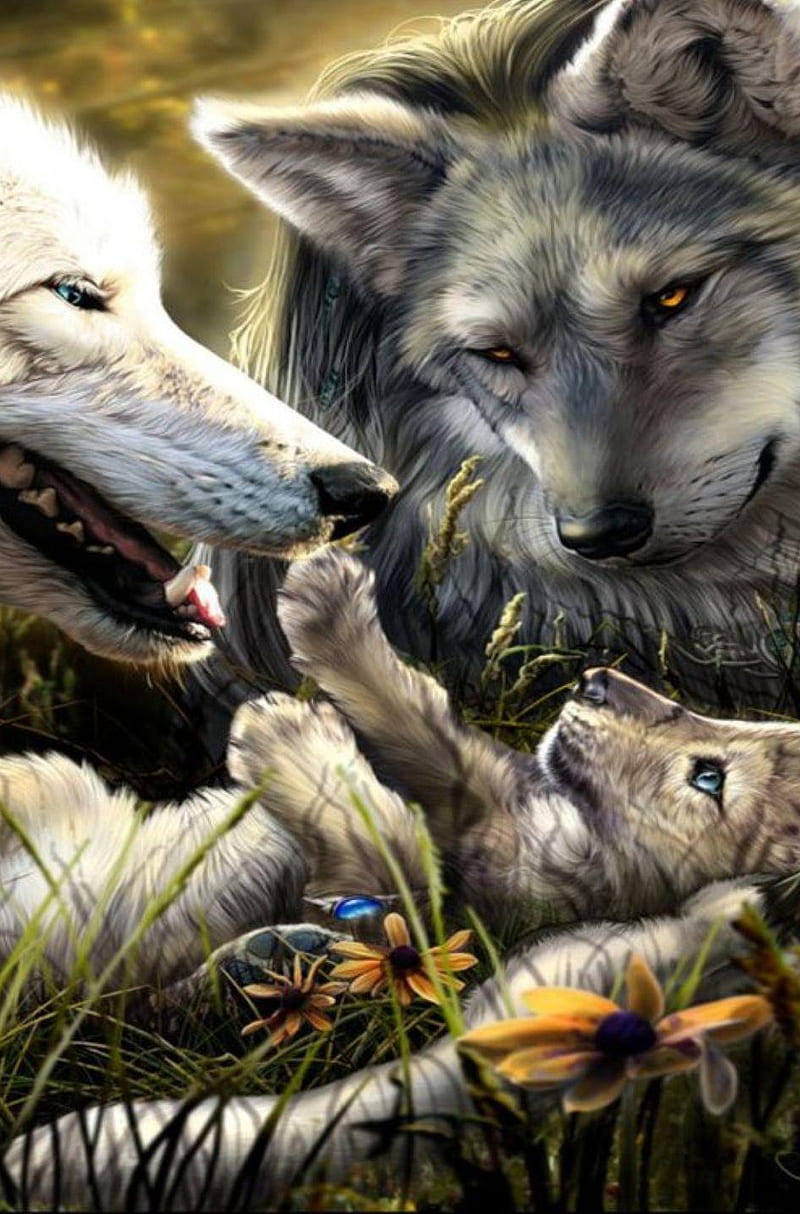Family, cub, white wolf, wolf, wolves, HD phone wallpaper