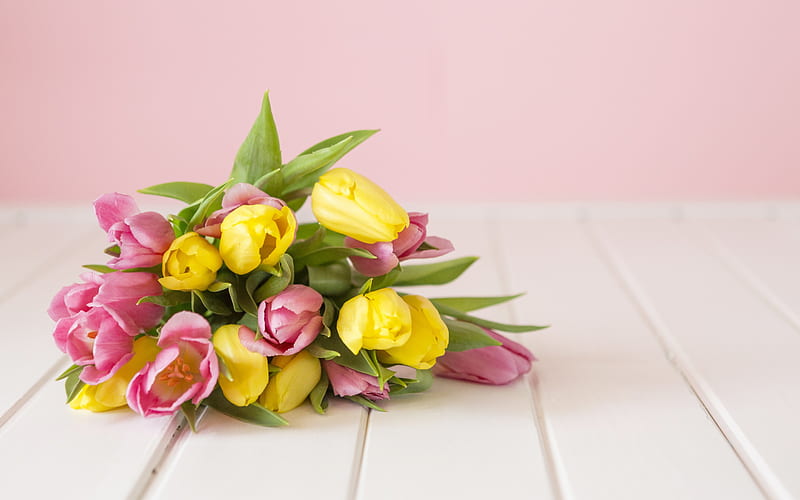 yellow tulips, spring bouquet, pink tulips, flowers on a pink background, HD wallpaper