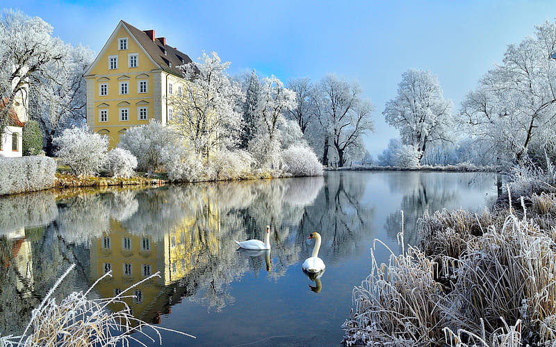 Winter beauty, bonito, lake, swans, winter, cold, pond, serenity, snow, ice, village, reflection, frozen, scene, tranquility, frost, HD wallpaper