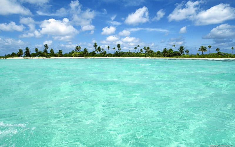 bahamas, beach, island, cean, HD wallpaper