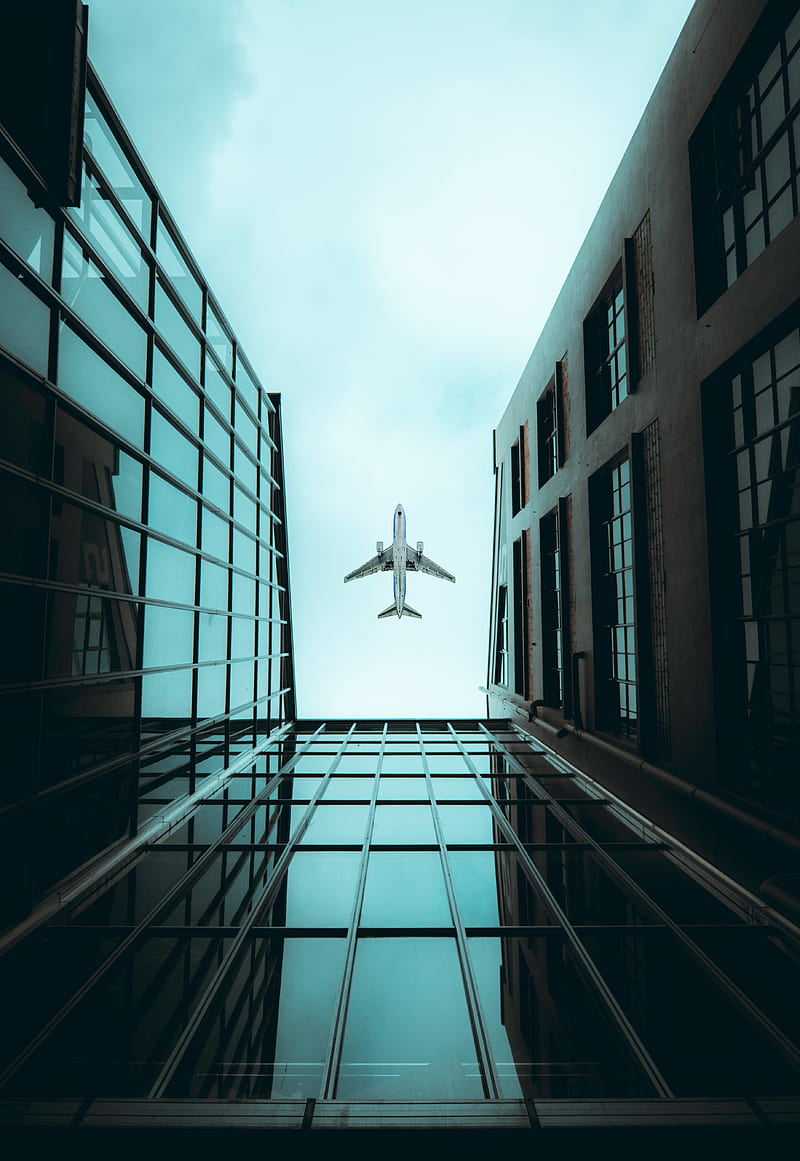 plane, bottom view, building, sky, HD phone wallpaper