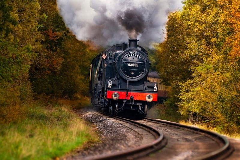 North Yorkshire Moors Railways, forest, locomotive, england, steam, trees, HD wallpaper