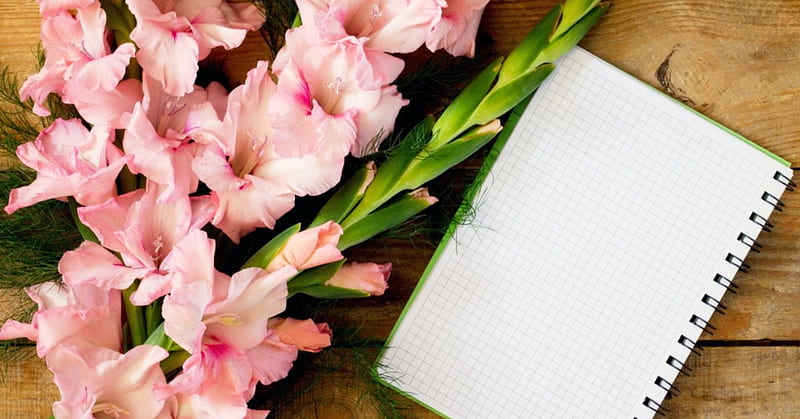 Background with gladiolus, pretty, lovely, background, notebook, bonito, spring, gladiolus, flowers, letter, HD wallpaper