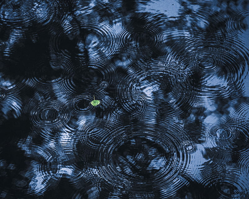 leaf, ripples, streaks, water, HD wallpaper