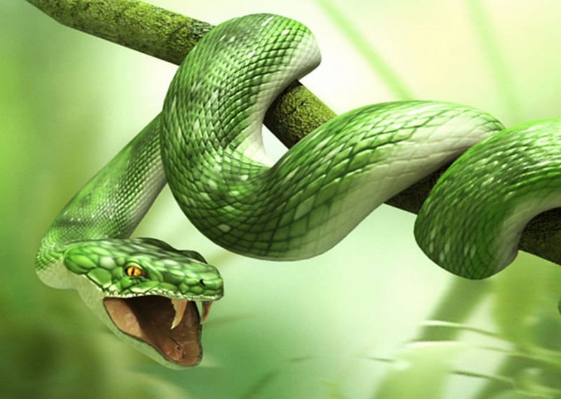 Showing Fangs, long, smooth, tree, daylight, green, texture, day, nature, scales, snake, animals, HD wallpaper