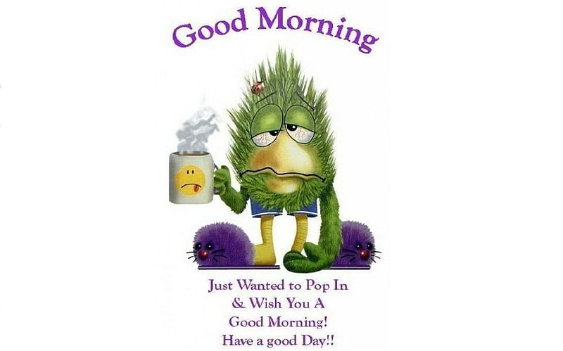 GOOD MORNING, green, grass, morning, funny, cofee, HD wallpaper | Peakpx