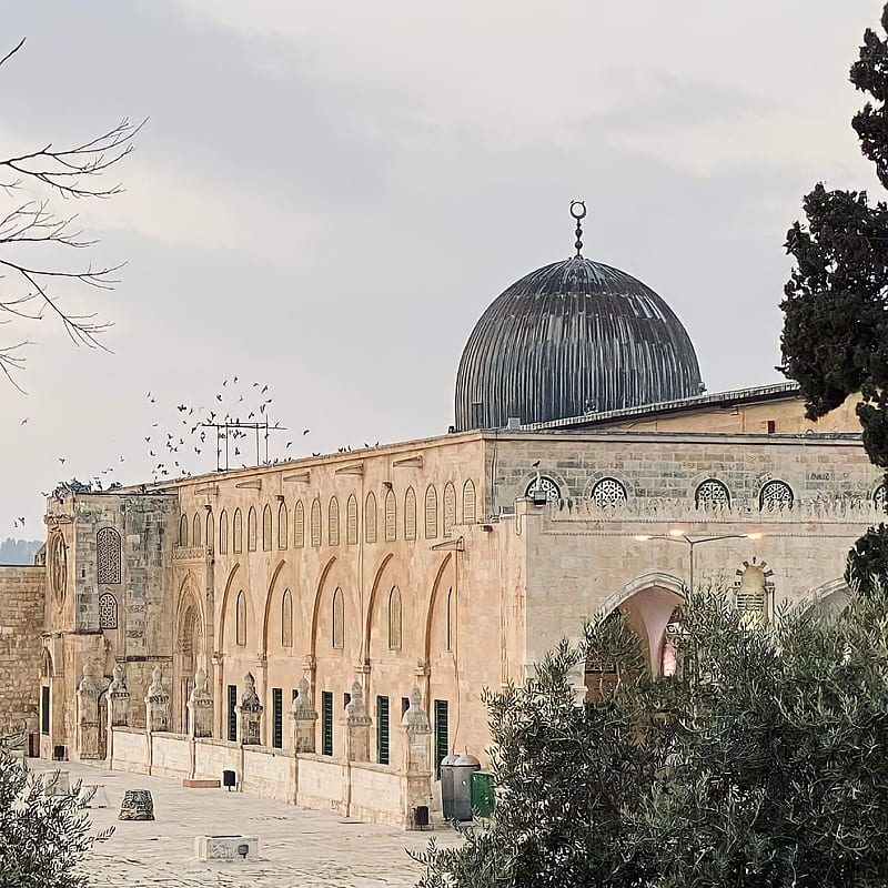 Masjid Al Aqsa, original , palestine, al aqsa, jerusalem, HD phone wallpaper