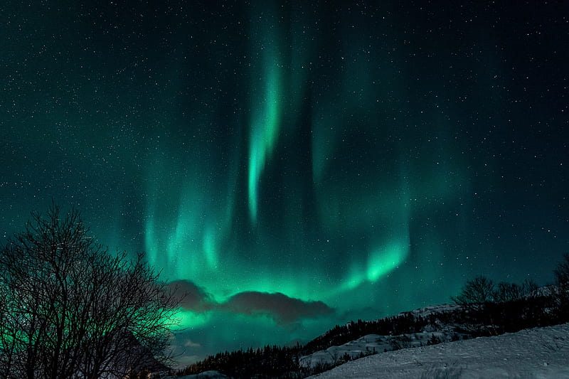 Northern lights, night, snow, nature, winter, HD wallpaper | Peakpx