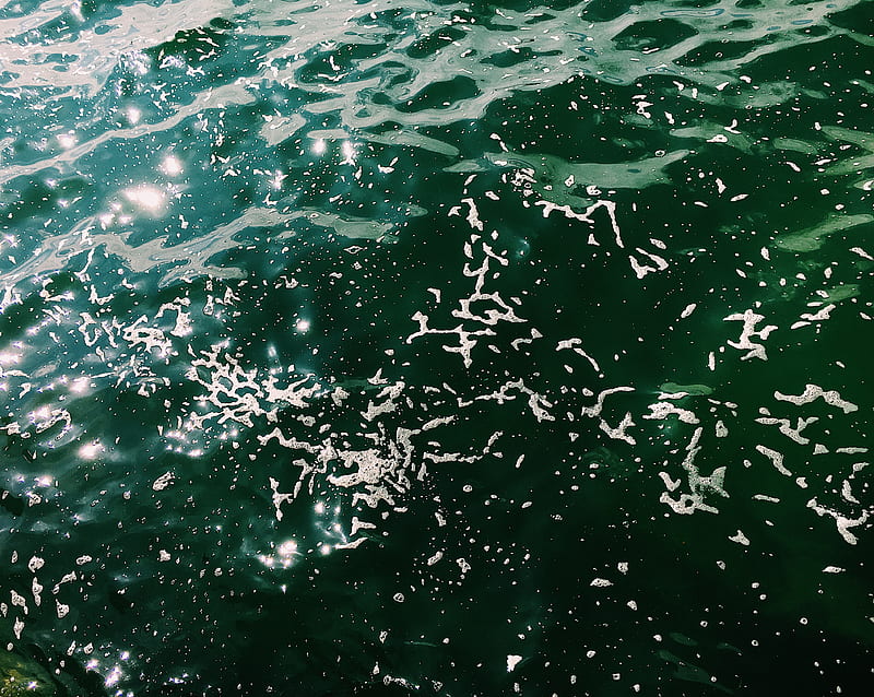 Rippling seawater with foam in sunny weather, HD wallpaper