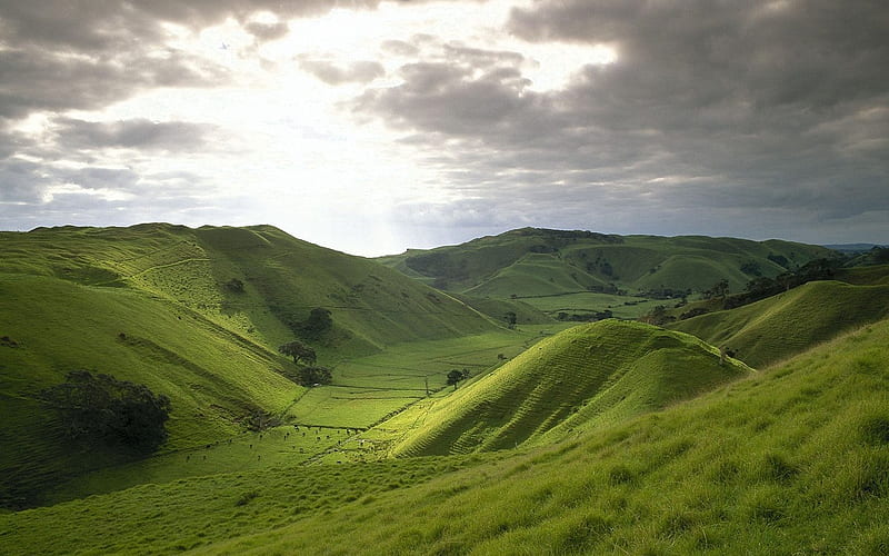 New Zealand-rolling hills, HD wallpaper
