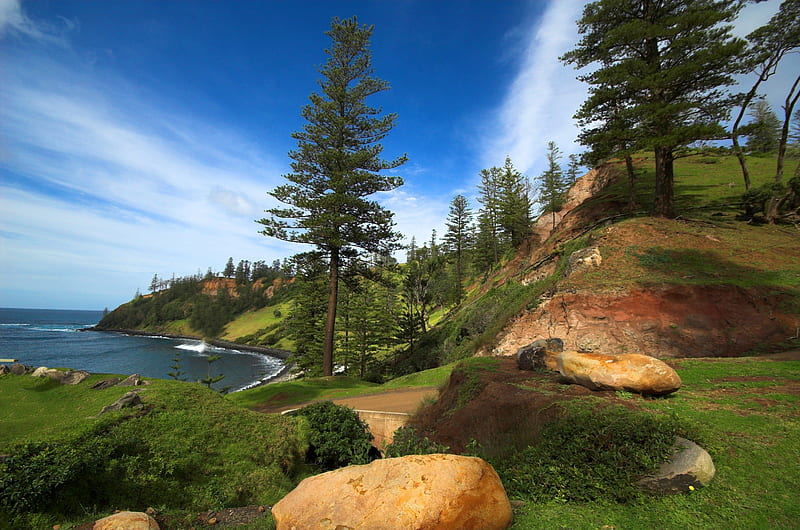 Norfolk Island Pines, coast line, rocks, ocean, norfolk island, pine trees, HD wallpaper