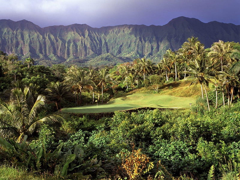 3rd-Hole-Luana-Hills-Oahu-Hawaii, polynesia, volcanoes, palm trees, oahu, green, mountaneous, forest, exotic, hawaii, lush, pacific, course, south, paradise, mountains, golf, rainforest, volcanic, island, tropical, luana hills, HD wallpaper