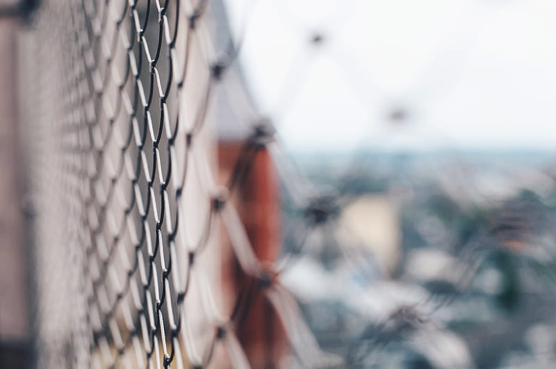 selective focus graphy of gray chain-link fence, HD wallpaper