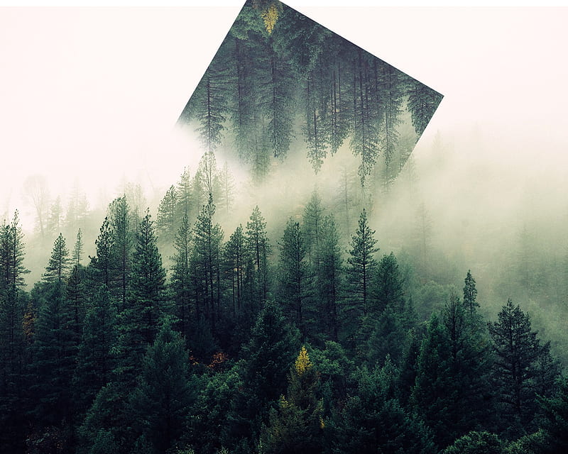 Forest, dope, graphic design, landscape, mother nature, mountains, nature,  trees, HD wallpaper | Peakpx
