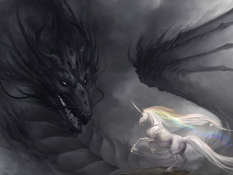 Unicorn and dragon, fantasy, black, Unicorn, white, dragon, HD wallpaper