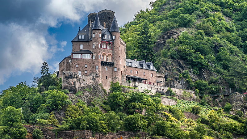 Katz Castle, Germany, forest, germany, medieval, castle, HD wallpaper