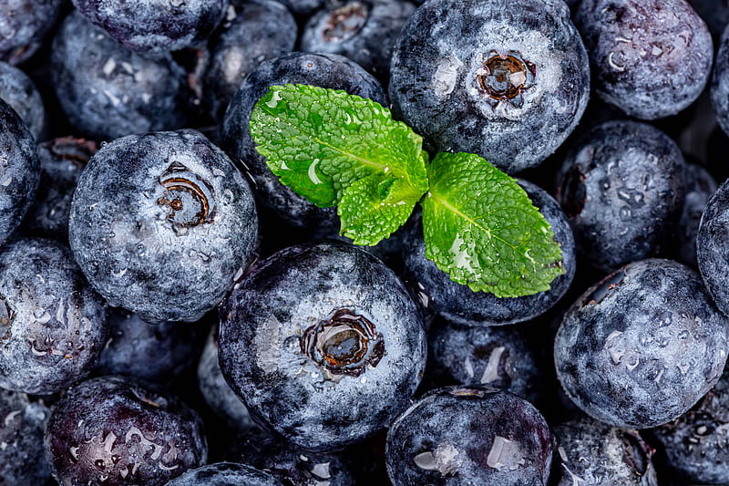 blueberries, berries, mint, wet, macro, HD wallpaper