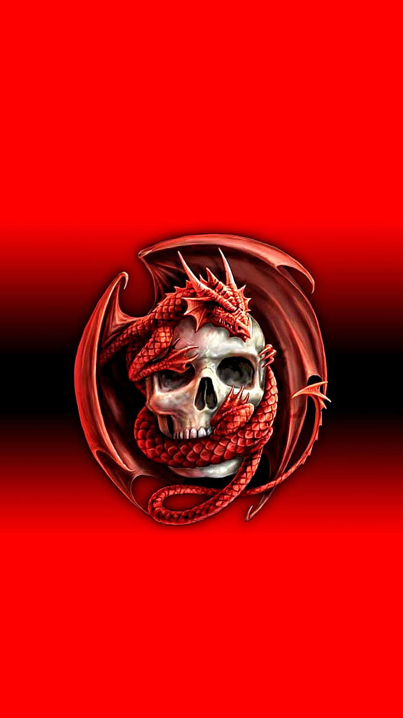 red dragon-skull, background, dragon, fantasy, skull, HD phone wallpaper
