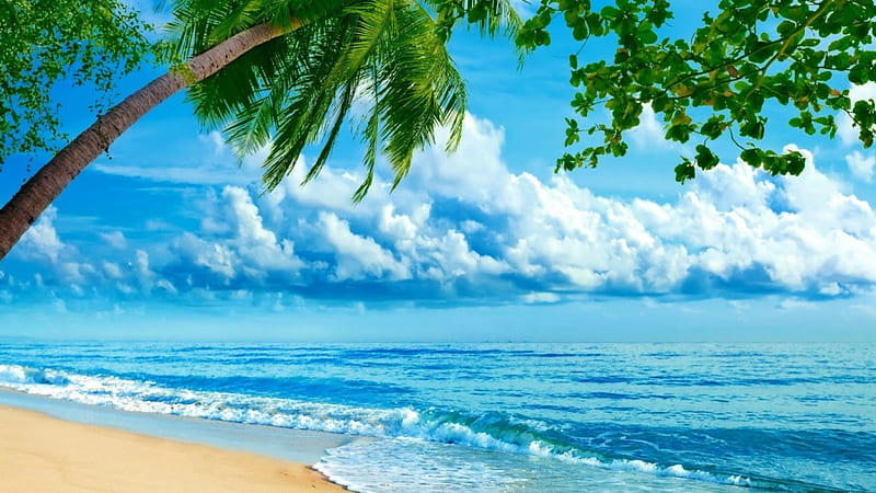 Seaside, beach, sand, sky, sea, palms, HD wallpaper | Peakpx