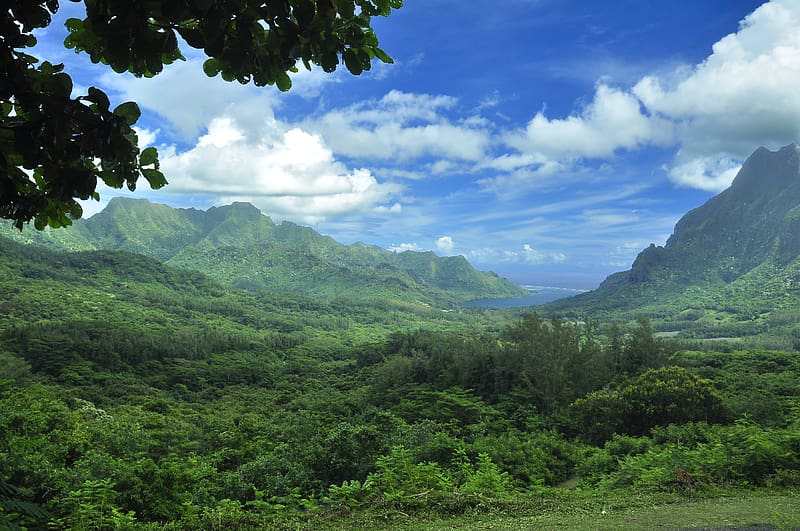 Landscape, , Tropics, Island, French Polynesia, Tahiti, Moorea, HD wallpaper