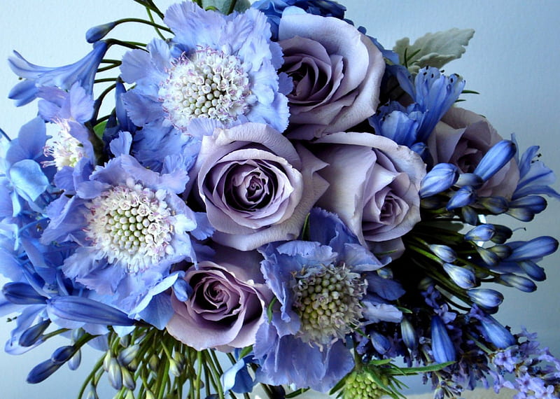 *** Blue bouquet ***, poppy, flower, flowers, nature, roses, blue, HD wallpaper
