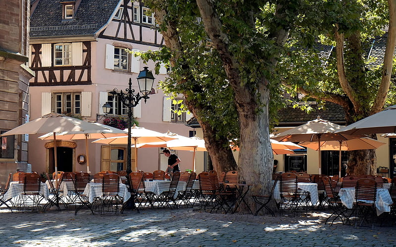 Morning in Strasbourg, Alsace, France, tree, coffee-bar, house, France, Strasbourg, morning, street, HD wallpaper