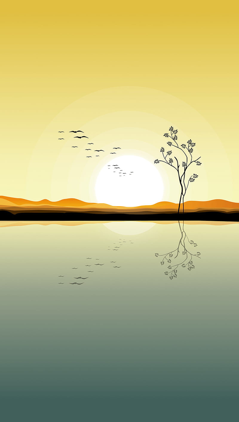 Nature, bonito, birds, dawn, day, sun, HD phone wallpaper