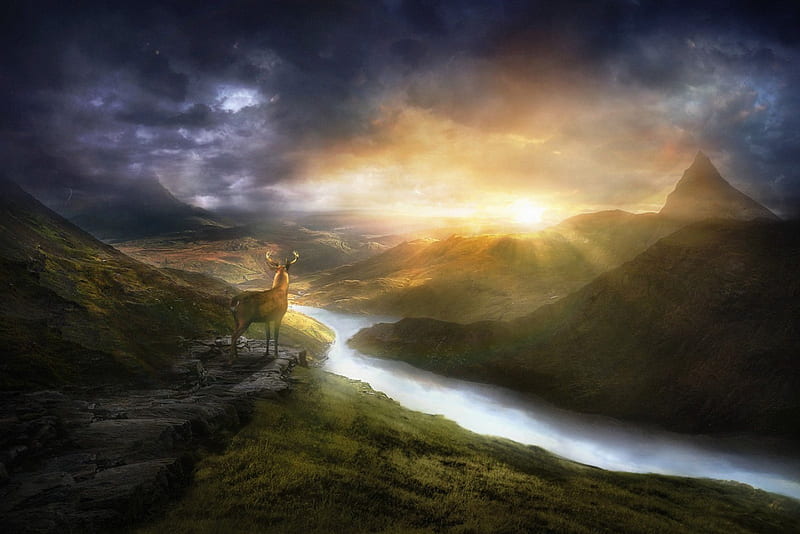 DISCOVERY, CLOUDS, DEER, DISCOVER, NATURE, ANTLERS, SKY, RIVER, SUNSET, MOUNTAINS, HD wallpaper