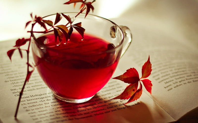 Tea, red, autumn, warm, cozy, book, leaf, glass, leaves, cup, story, HD wallpaper