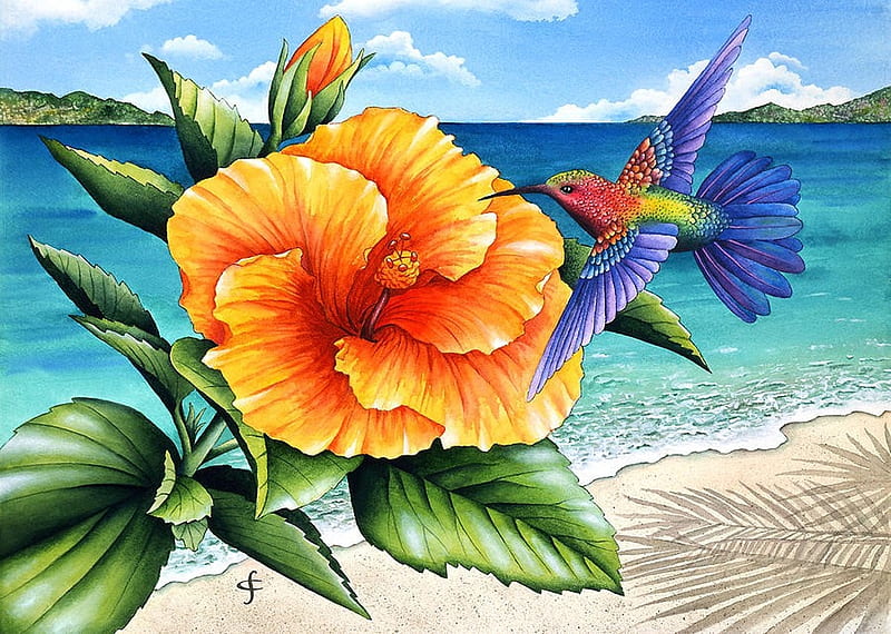 Beauty and Beach, hibiscus, hummingbird, artwork, sea, leaves, blossom, painting, flower, petals, HD wallpaper