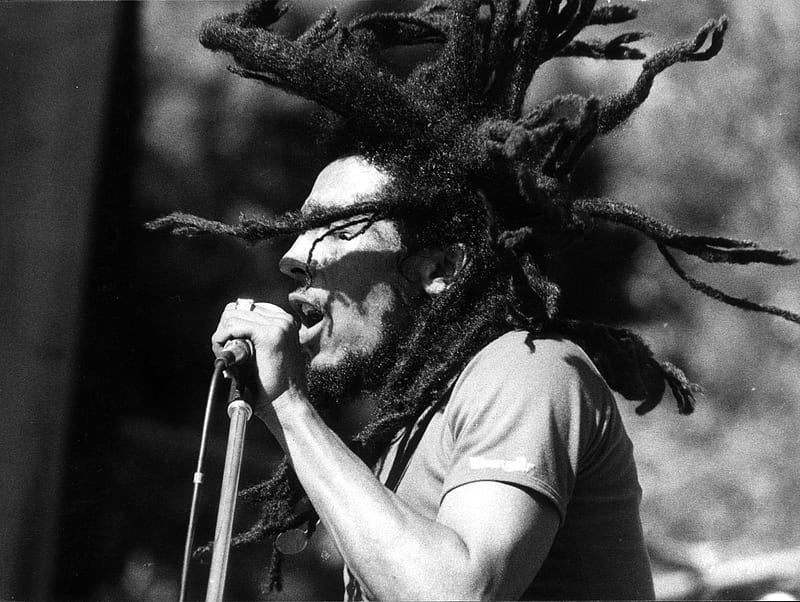 Bob Marley , dreadlocks, reggae, robert nesta marley, bob, ska, HD wallpaper