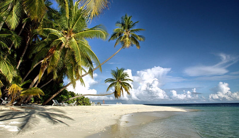 Where The Sands Of Time Stand Still, Paradisiac, sand, Maldives, Fihalhohi island, bonito, clouds, palm trees, sea, HD wallpaper