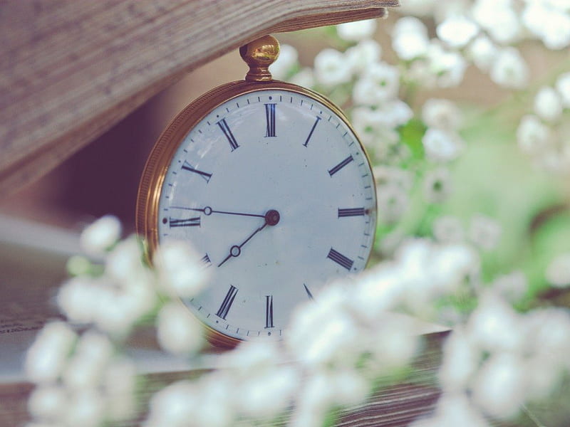 Pocket watches book and flowers, pocket, blurred, watches, book, small, close-up, flowers, white, page, HD wallpaper