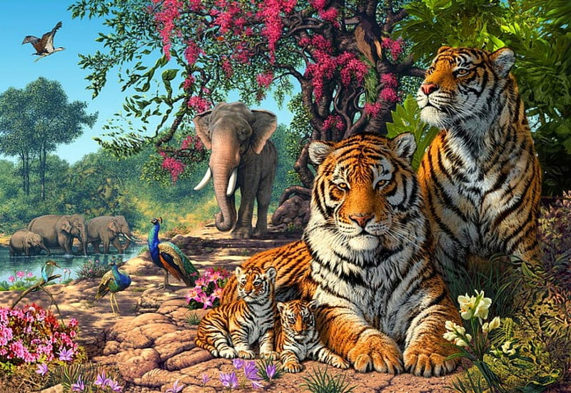Tiger Sanctuary, lovely, elephant, peacock, birds, bonito, tiger, trees,  lake, HD wallpaper | Peakpx