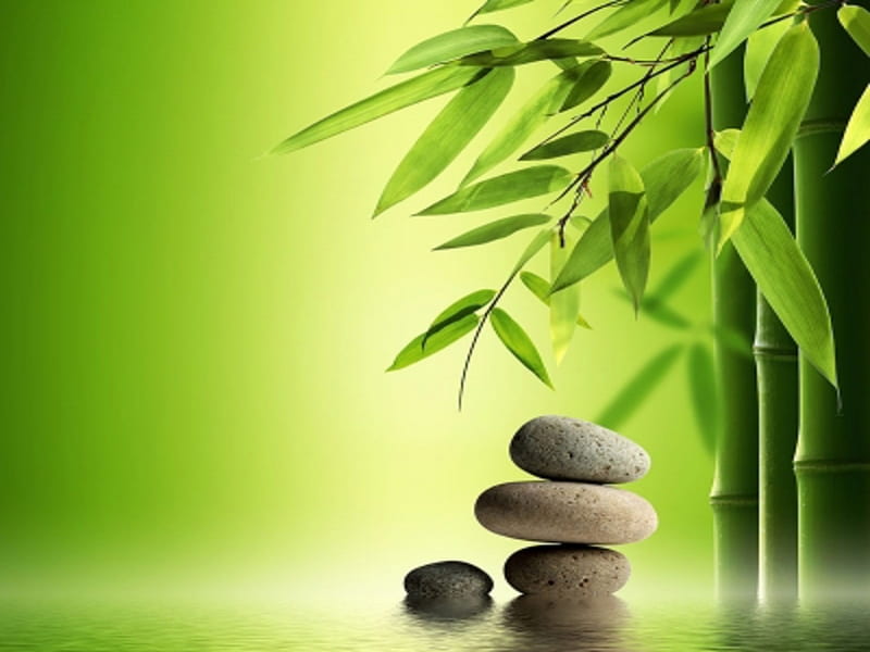Still Life, Spa, Zen stones, Green, Bamboo, HD wallpaper