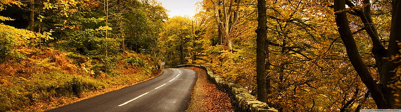 Autumn Road Ultra Background for U TV : Multi Display, Dual Monitor :  Tablet : Smartphone, HD wallpaper | Peakpx