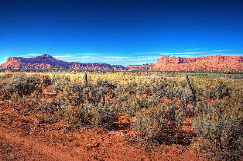 Red desert, mountain, desert, scrub, arizona, america, red dirt, HD wallpaper