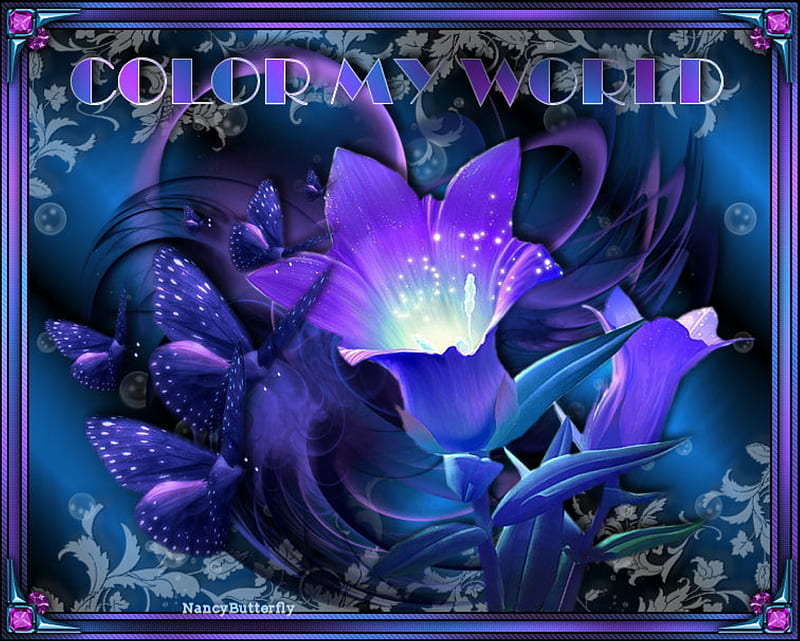 COLOR MY WORLD, BLUE, WHITE, FLOWERS, BUTTERFLIES, HD wallpaper