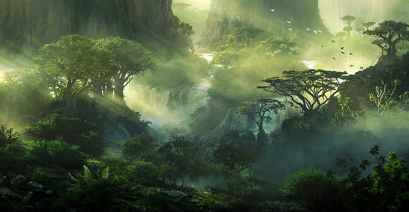 Rainforest, forest, tree, nature, Jungle, HD wallpaper