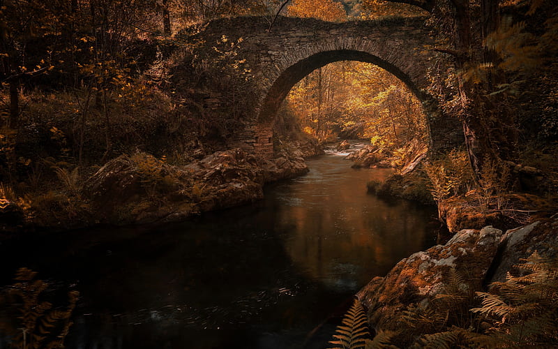 old stone bridge, autumn, river, forest, autumn landscape, HD wallpaper
