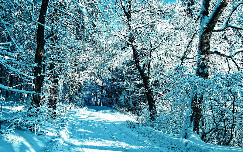 winter, snowy road, forest, snowdrifts, blue snow, R, beautiful nature, HD wallpaper