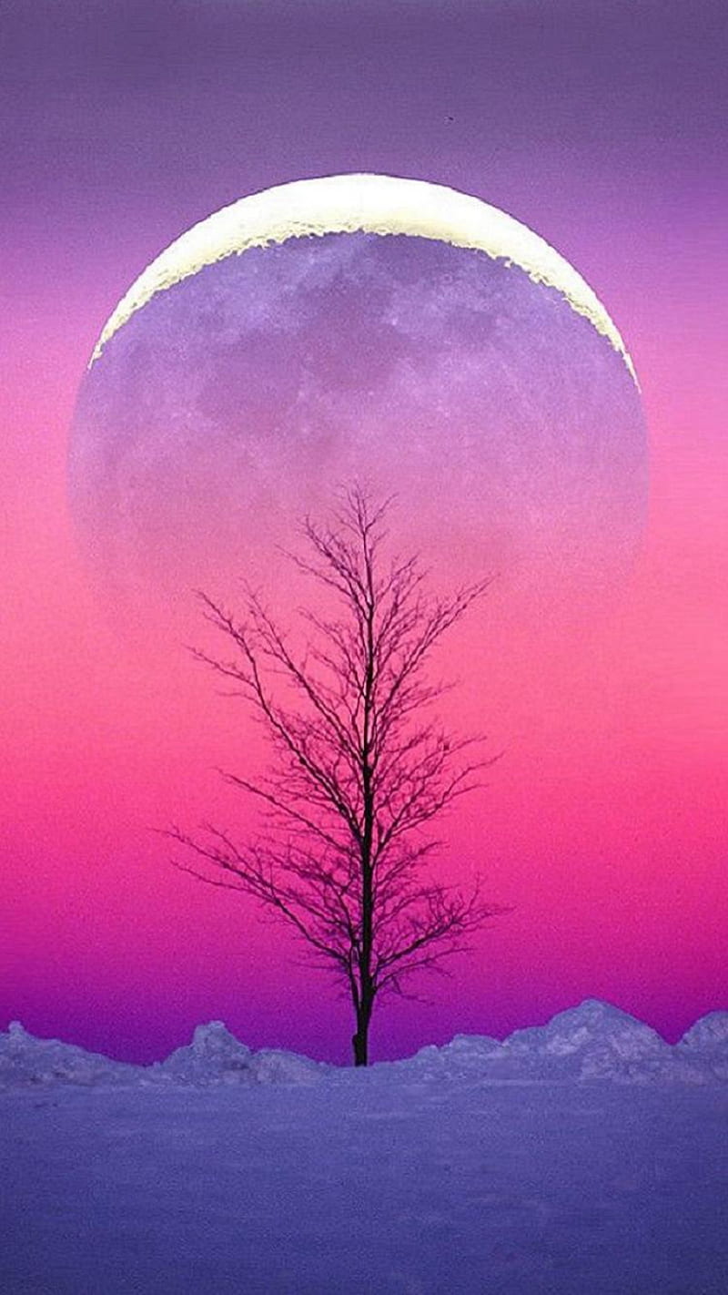 AESTHETIC TREE, blue, colors, moon, nature, pink, purple, rock, sky, HD phone wallpaper